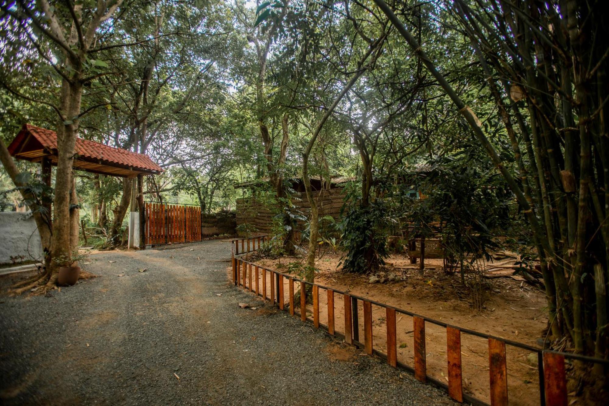 Inn On The Tree Eco Resort Sigiriya Exterior foto